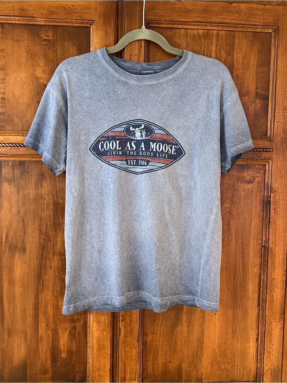 Artforms Cool Dye | Cool as a Moose | Weathered Blue | Size S | Unisex |Like new